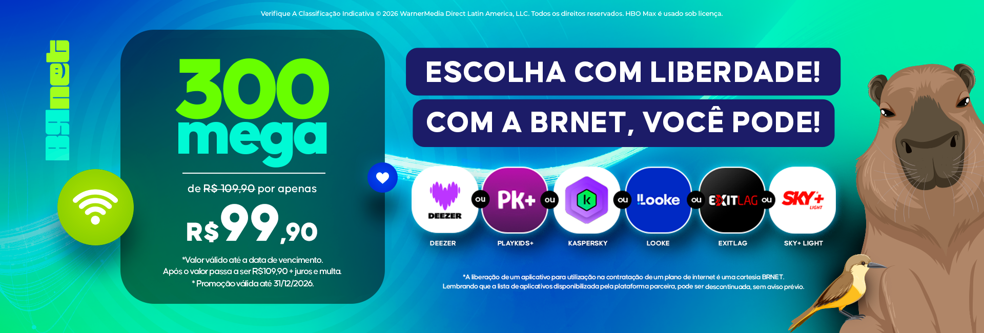Plano 300 Mega BRnet
