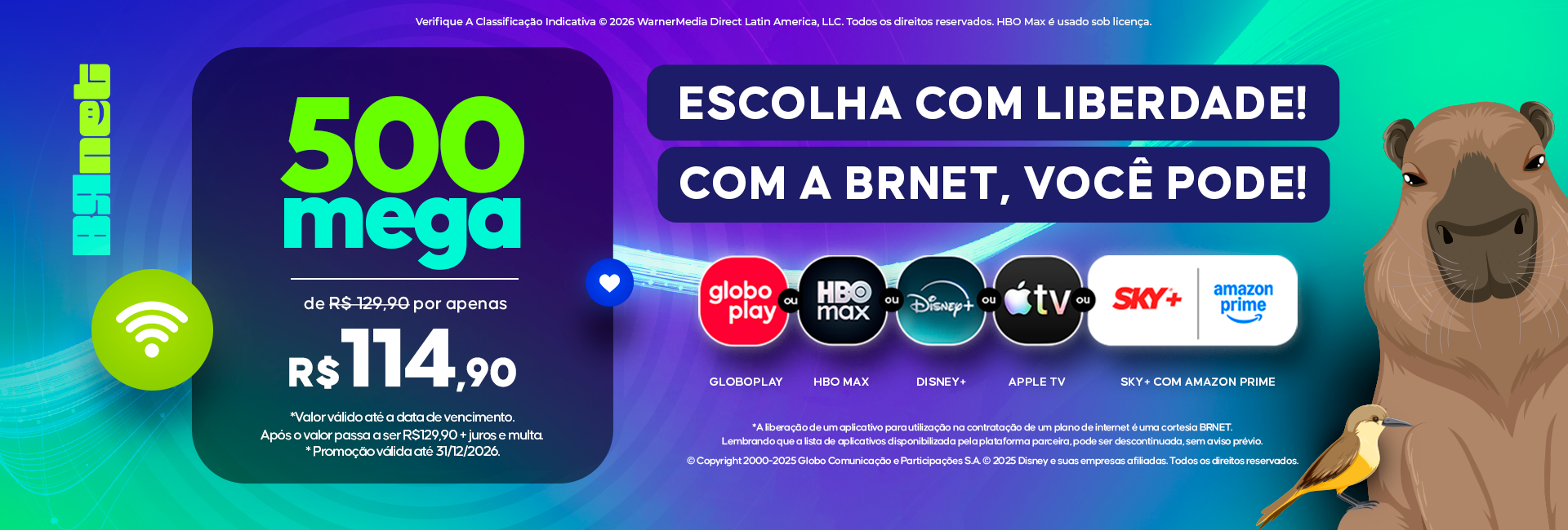 Plano 500 Mega BRnet