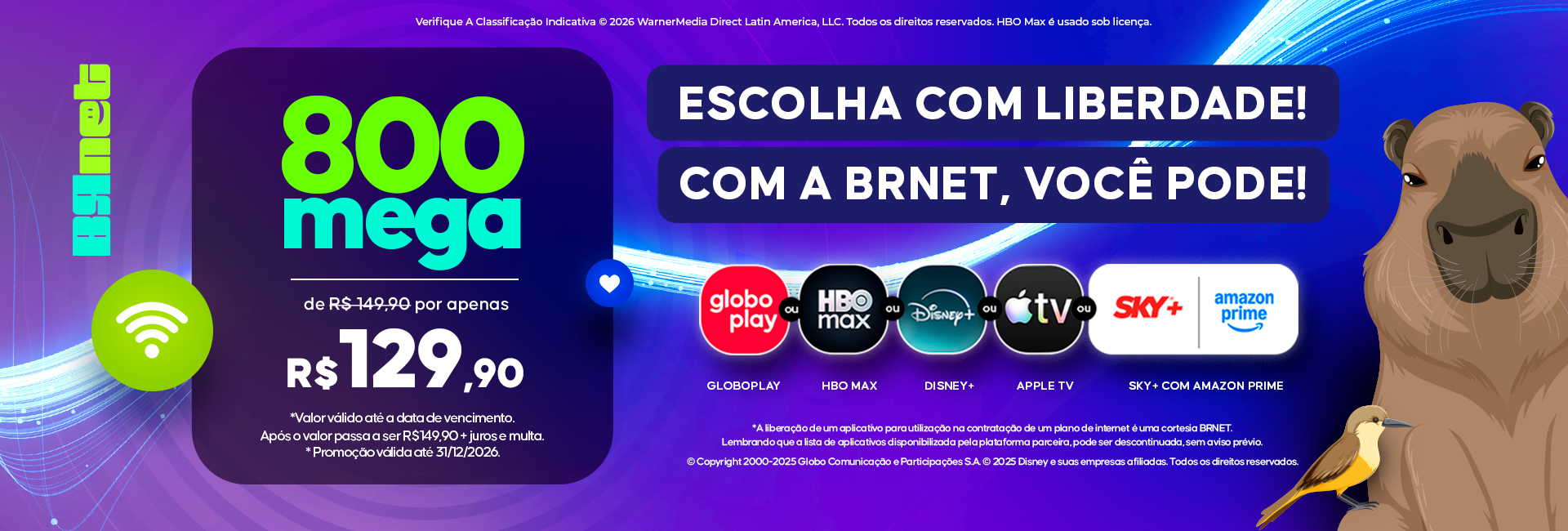 Plano 800 Mega BRnet